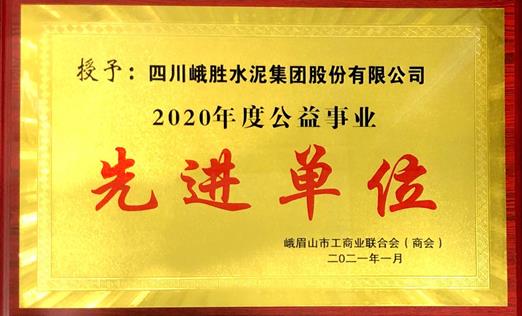 2020年度公益事业先进单位